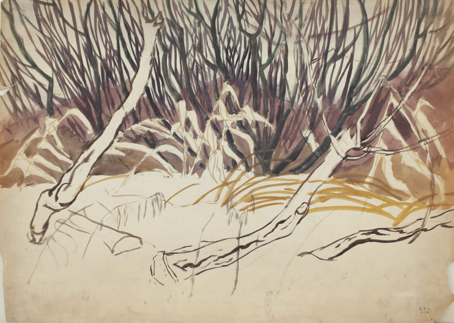 Swamp Study