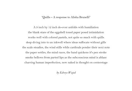 Quills – A response to Alisha Brunelli