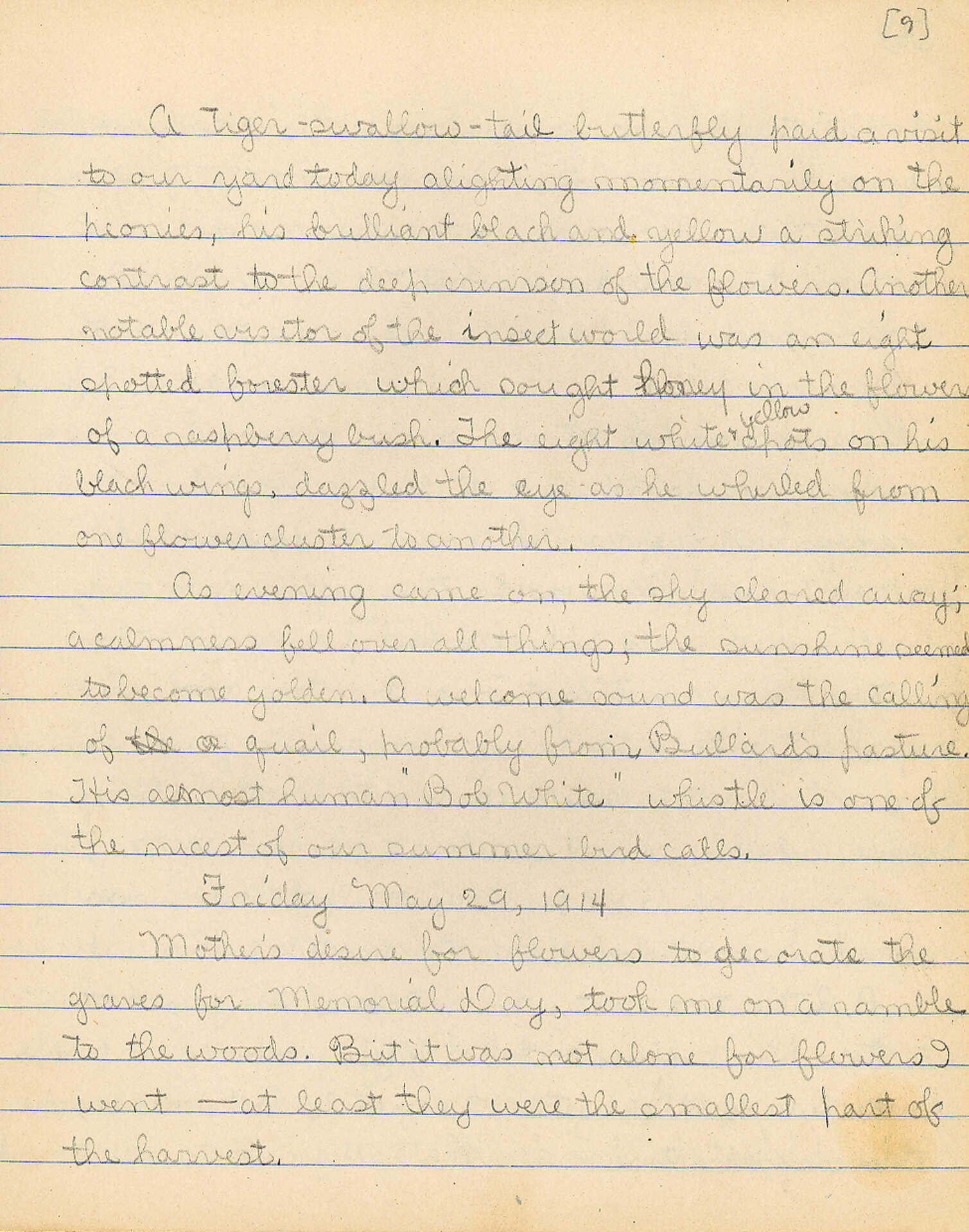 Untitled (Journal Pg 9)
