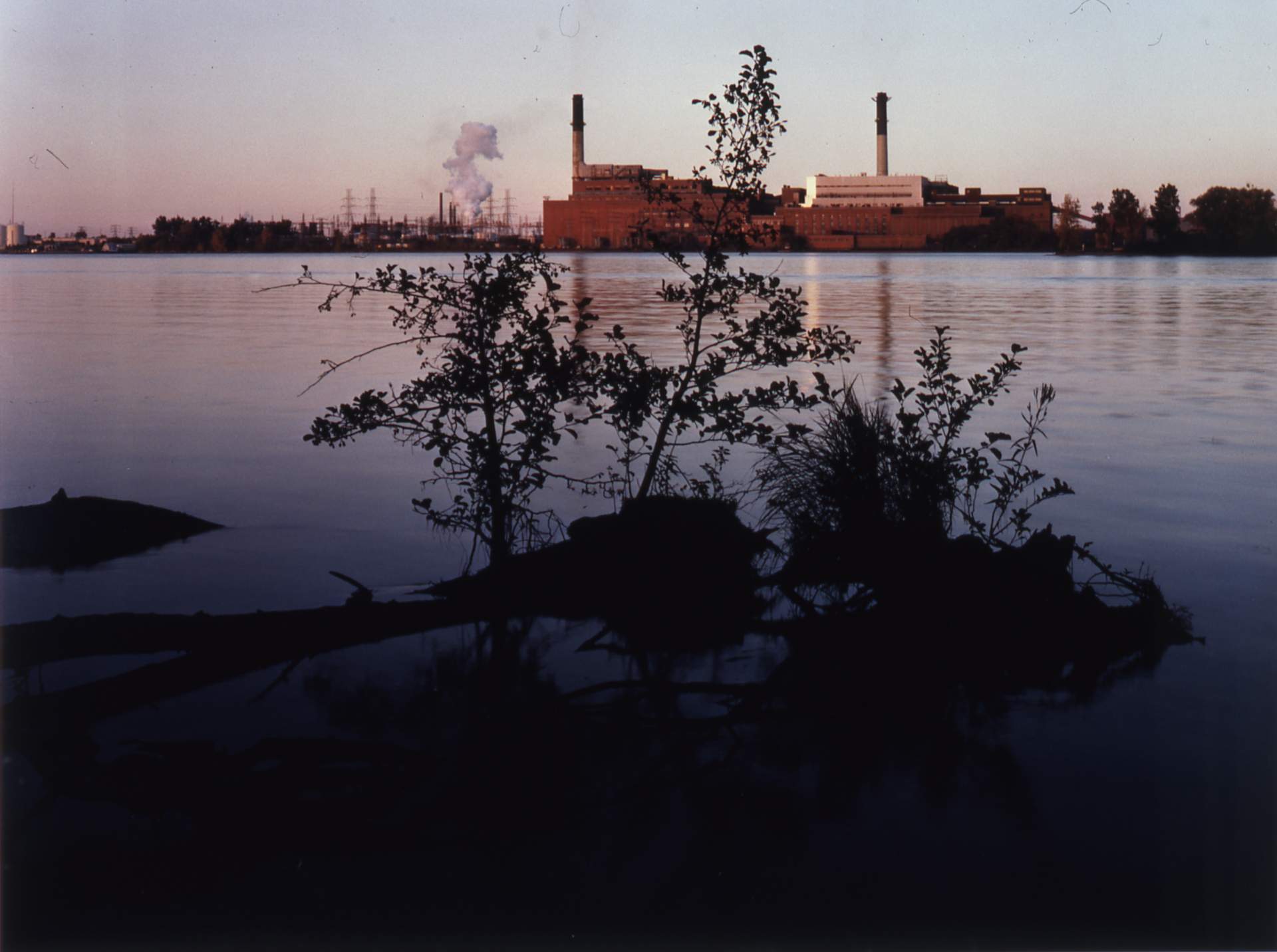 Electric Plant from Beaver Island