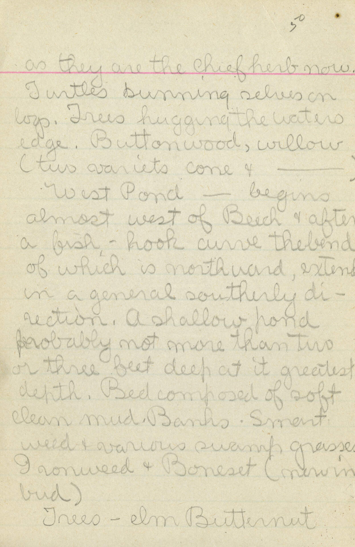 Untitled (Journal Pg 50)