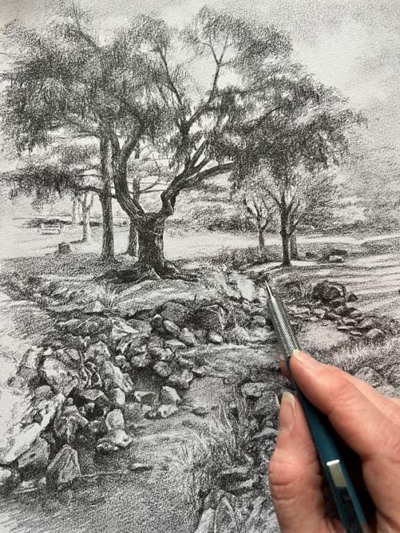 Drawing from Nature Workhop