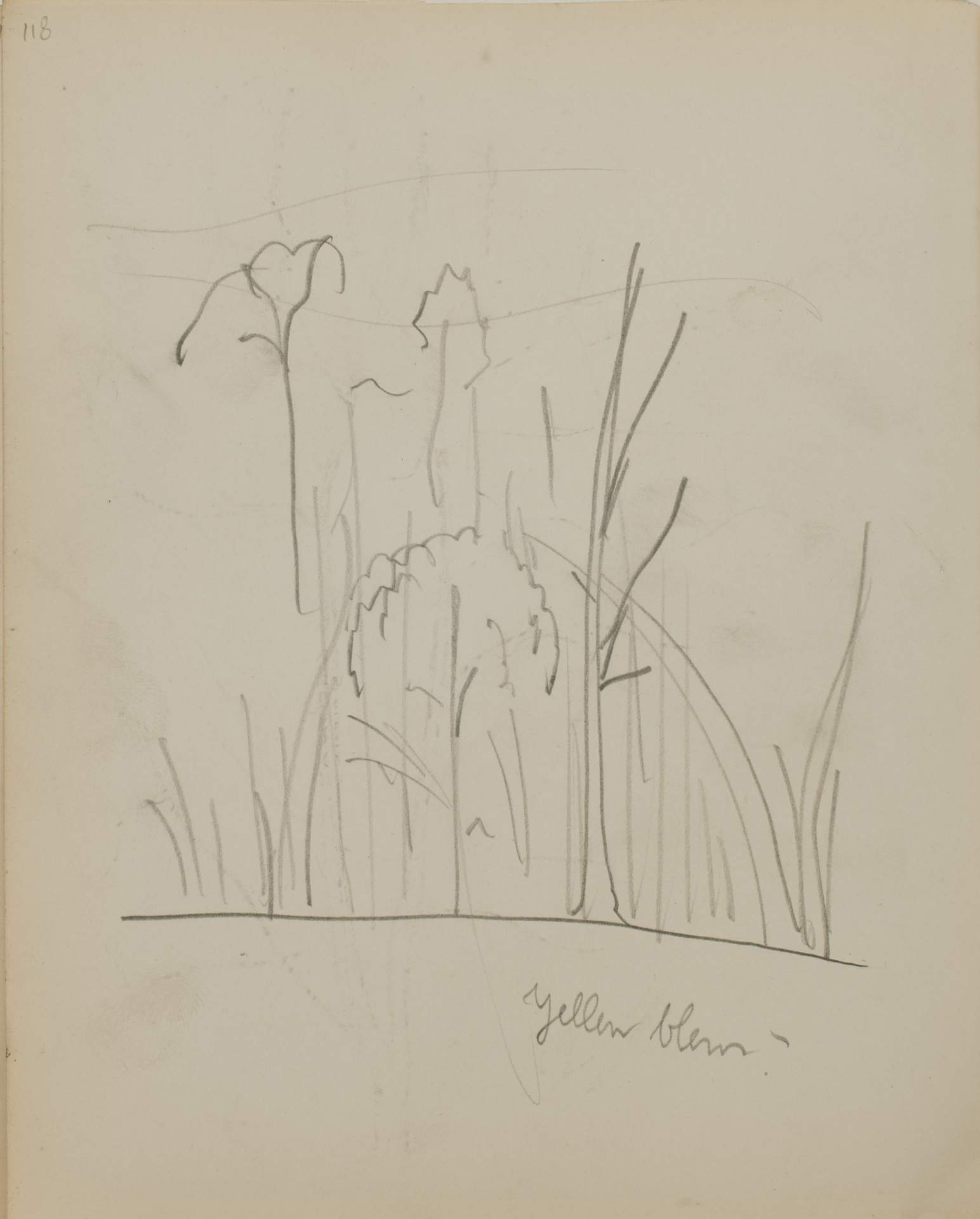 Untitled (sketch of trees)