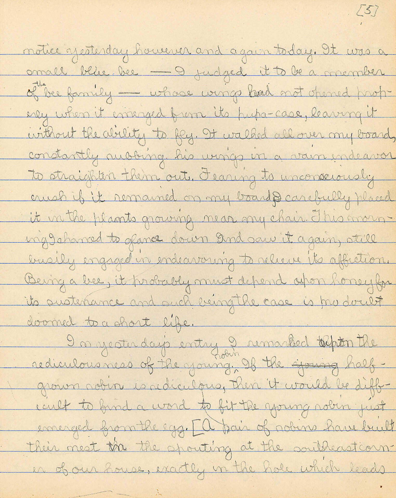 Untitled (Journal Pg 5)