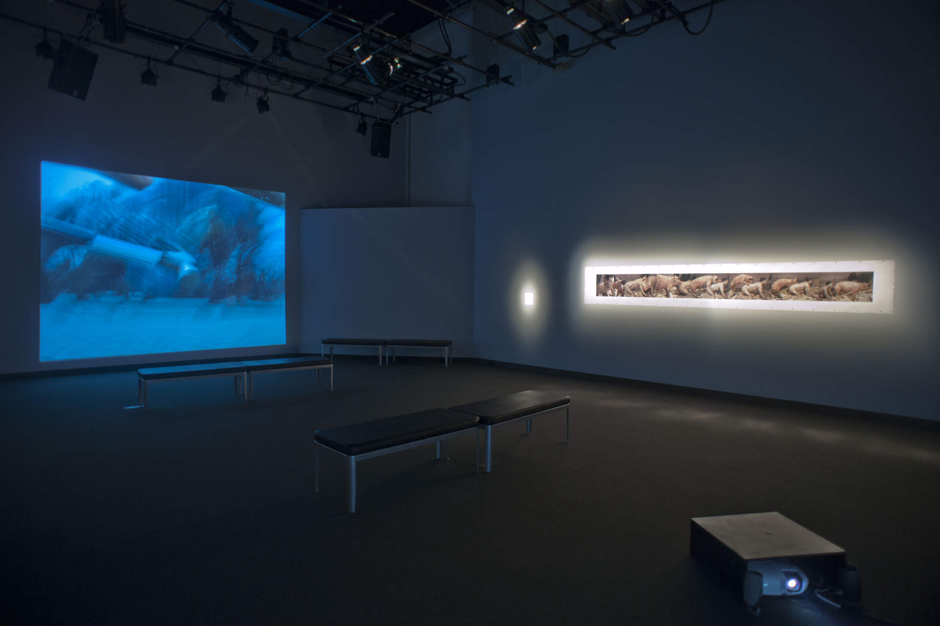 A Case Study of Transference