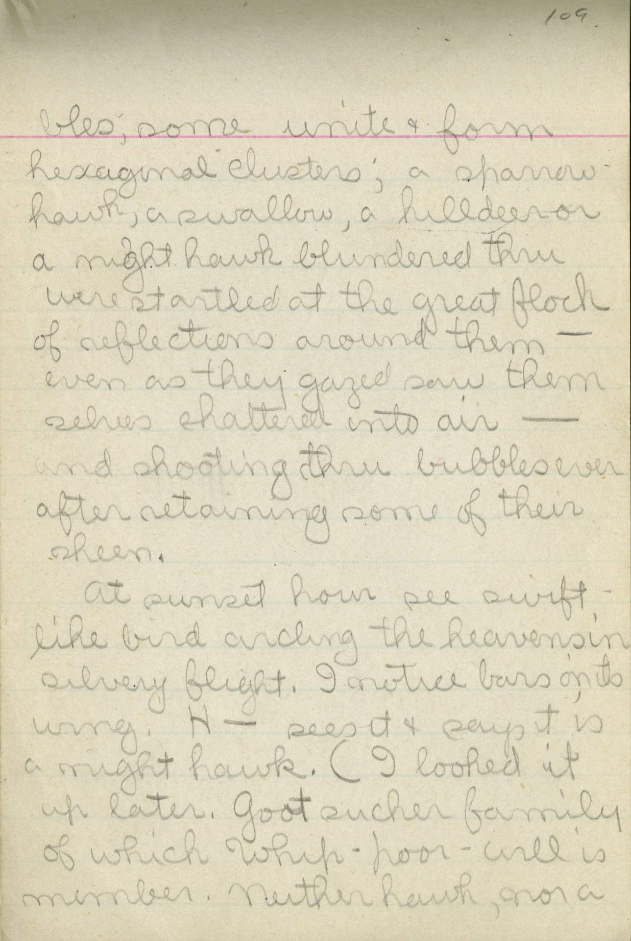 Untitled (Journal Page), Pg 109