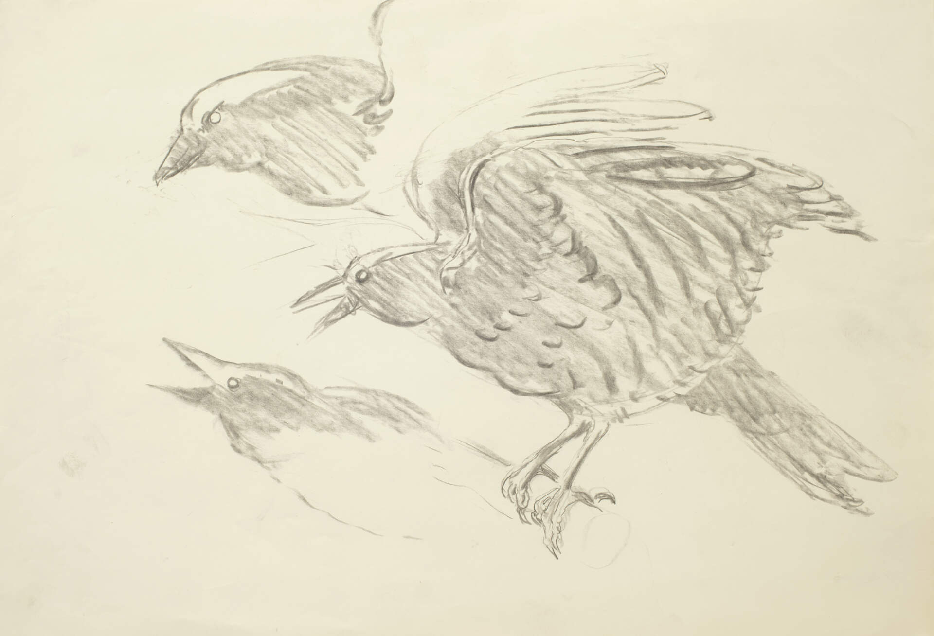 Study for North Wind in March