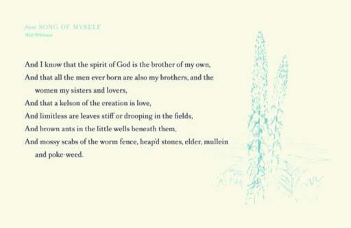 from Song of Myself - mullein