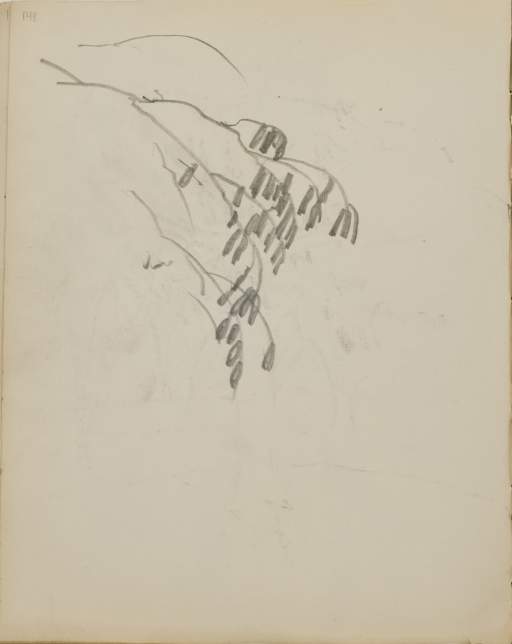 Untitled (sketch of a branch)