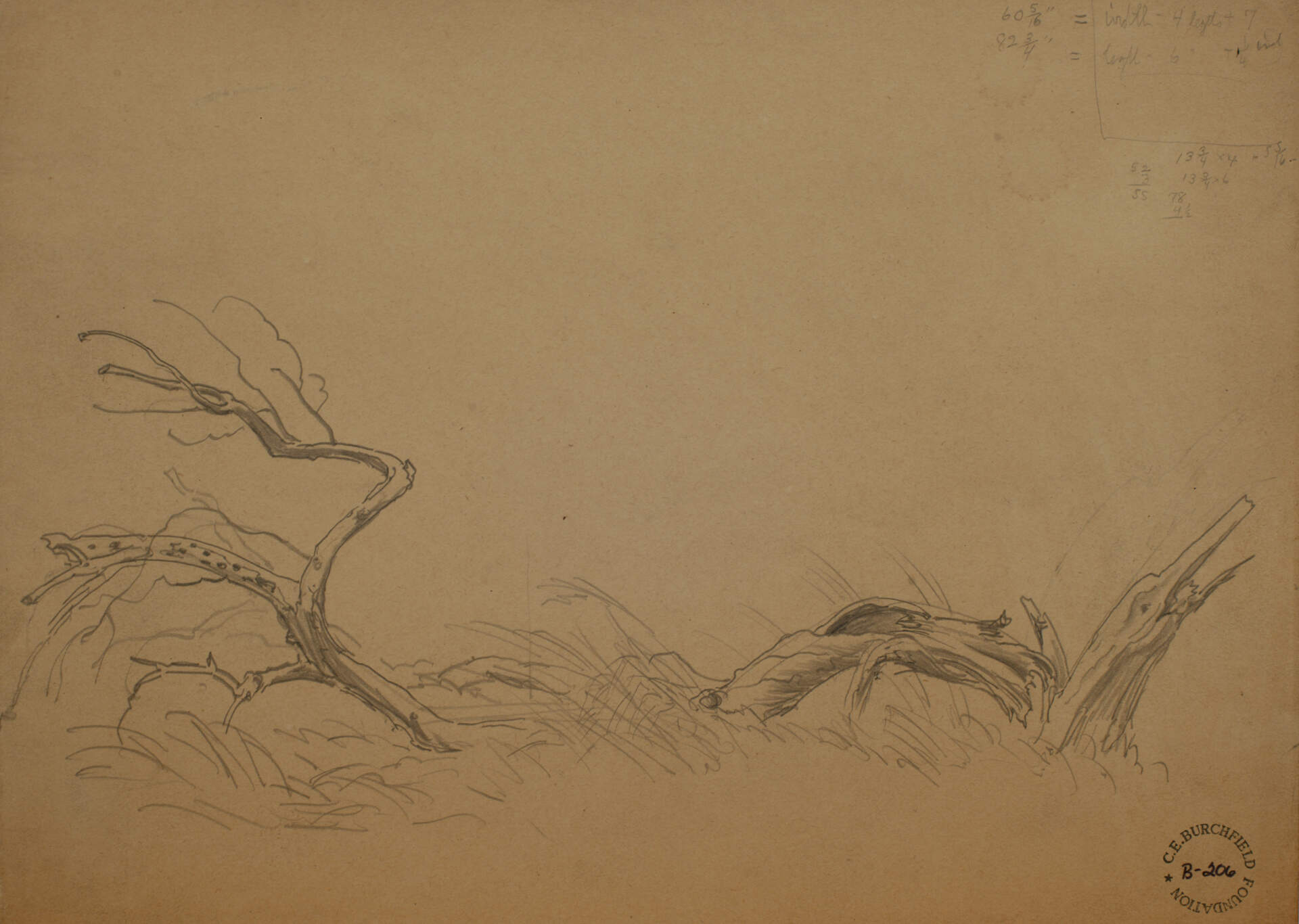 Fallen Tree