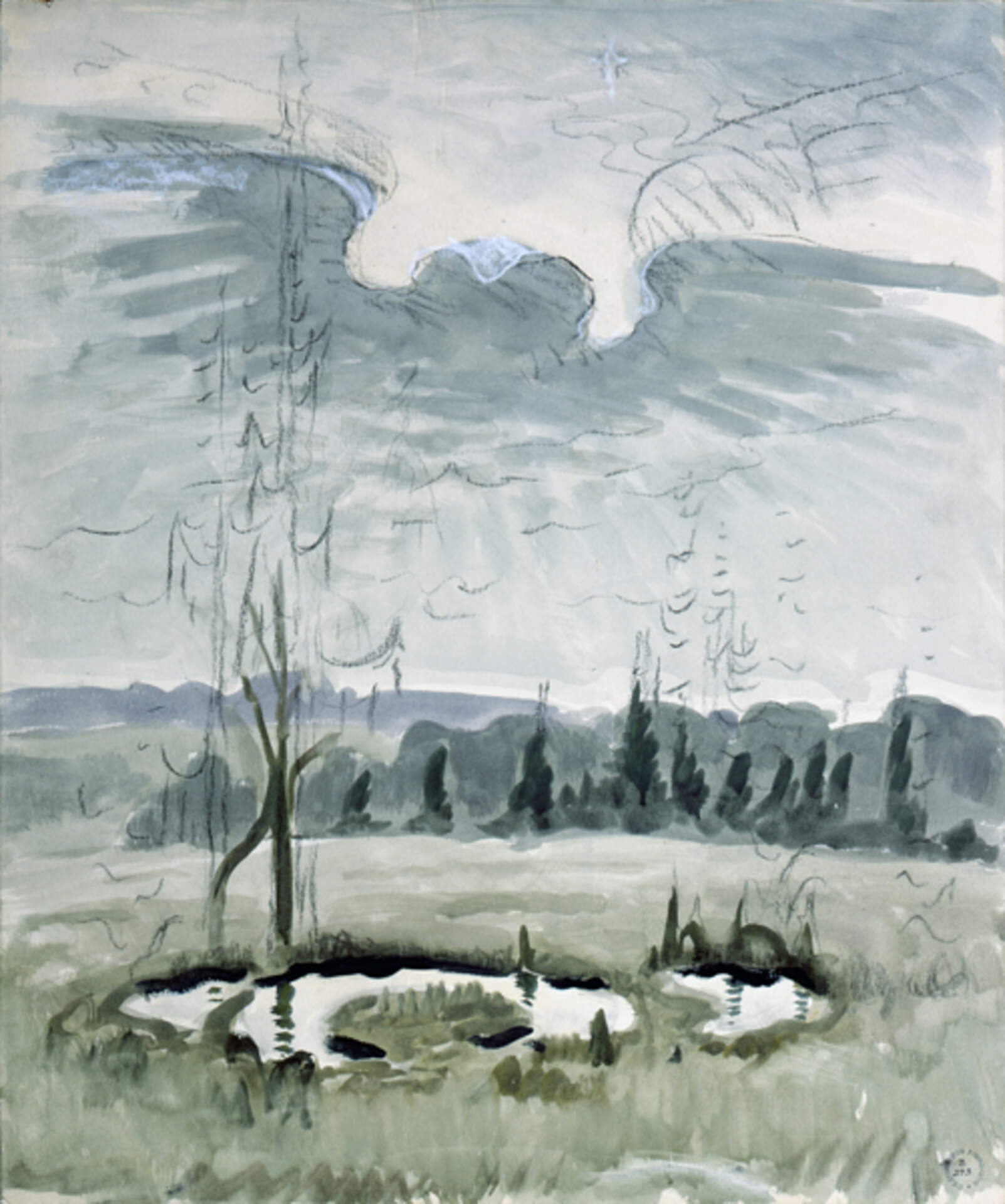 Bird Wing, Twilight