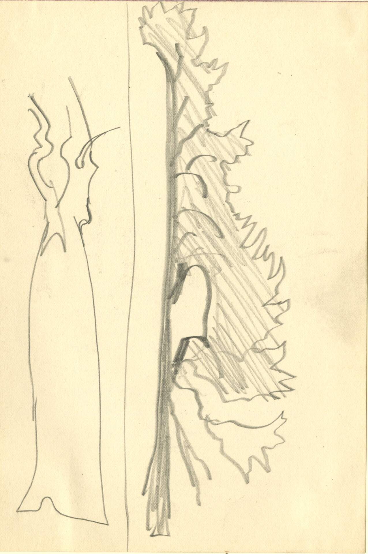 Comparison between tree with leaves and without