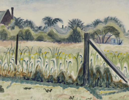 Along the Fence in July