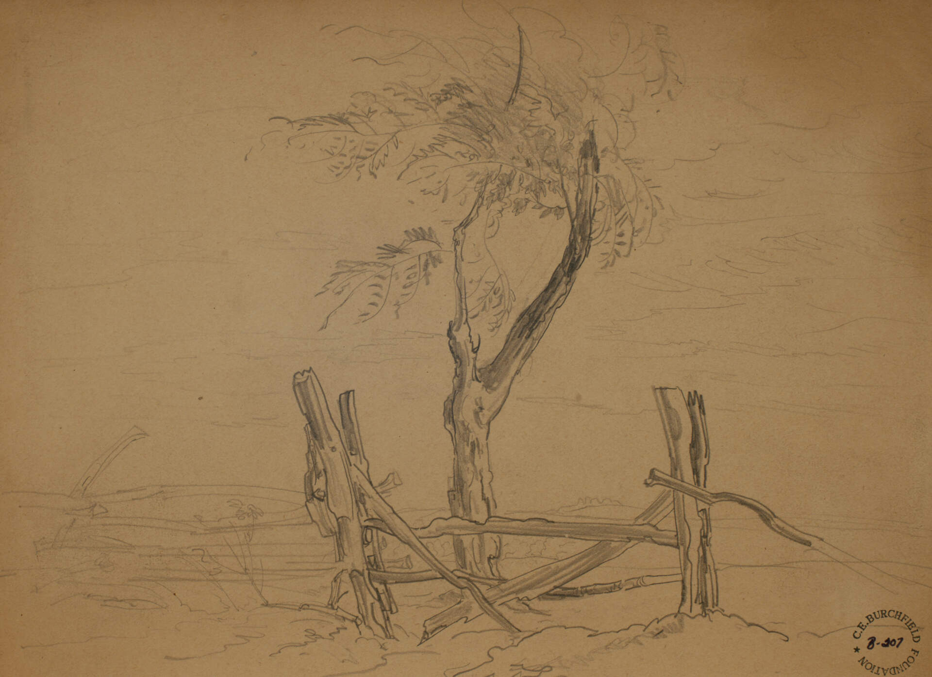 Rail Fence and Tree