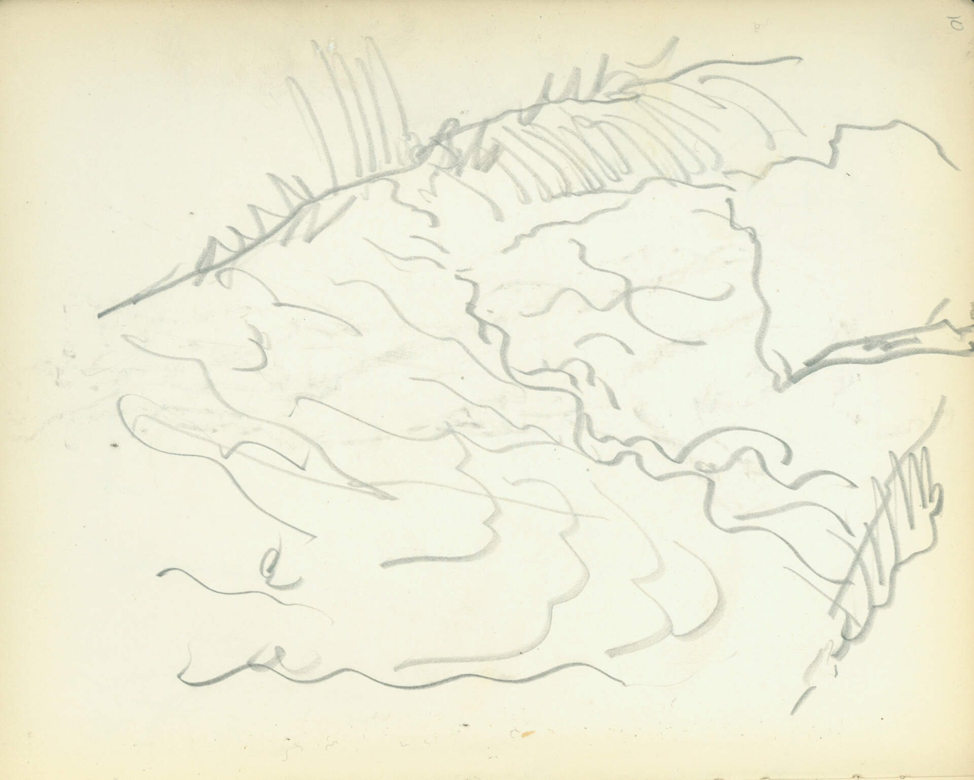 Untitled (water sketch)