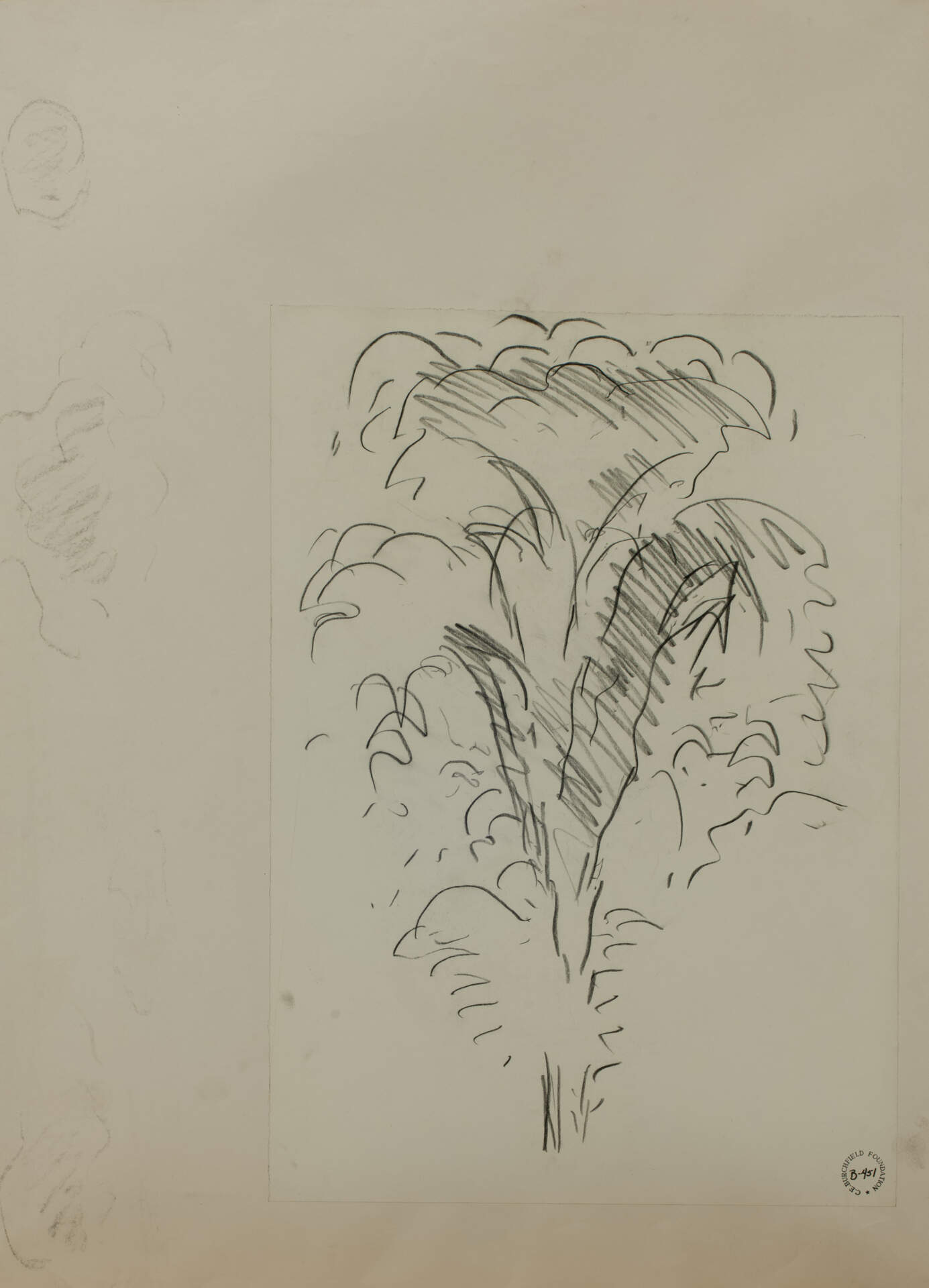 Tall Tree