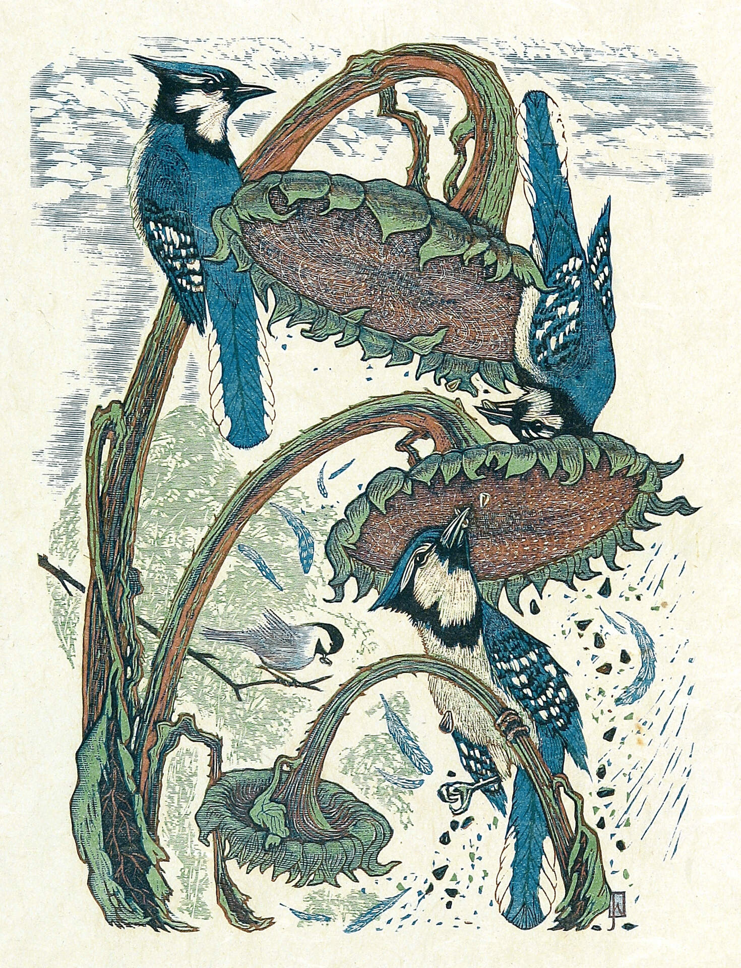 Blue Jays