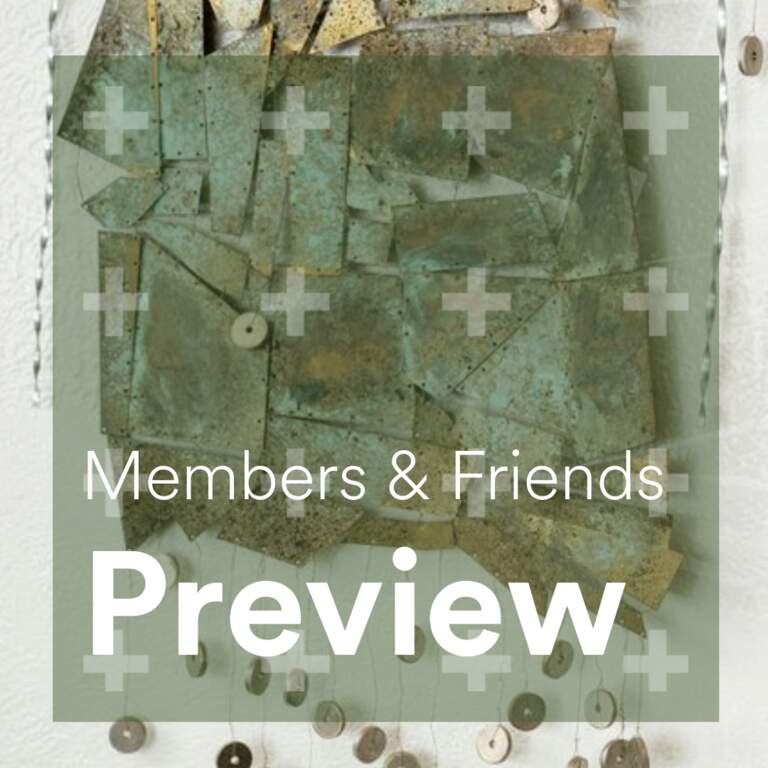 Members & Friends Preview