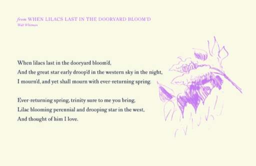 from When Lilacs Last in the Dooryard Bloom'd
