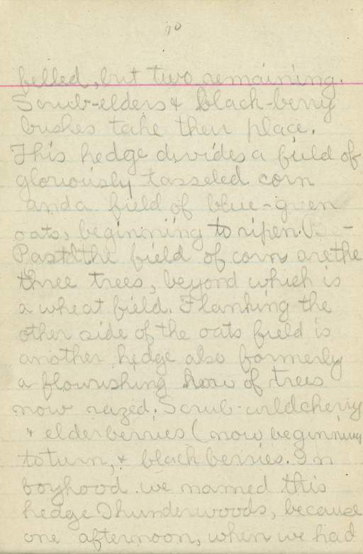 Untitled (Journal Page) pg. 70