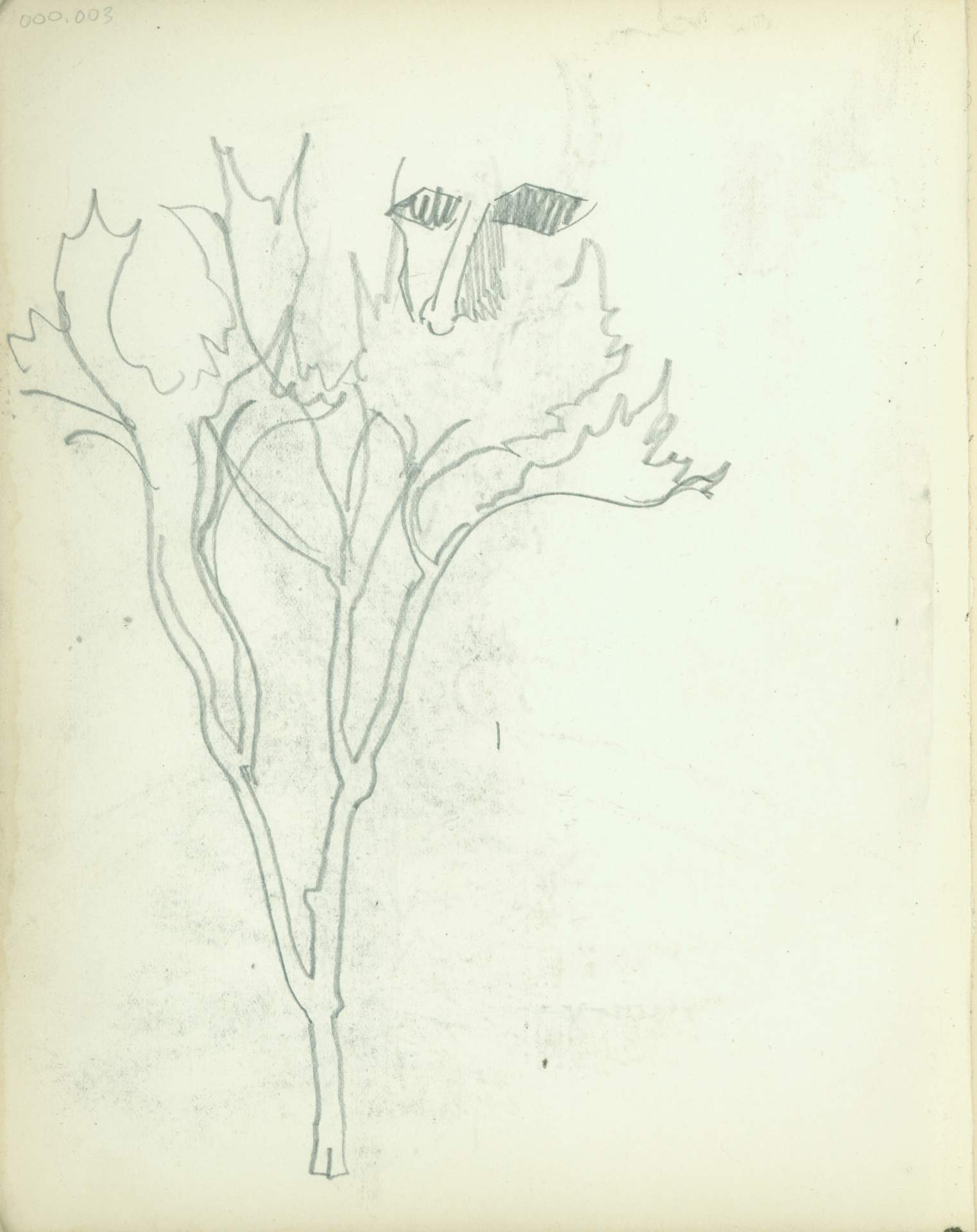 Untitled (tree sketch with face)