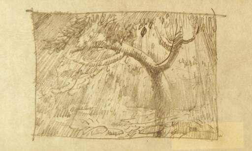 Landscape with Tree