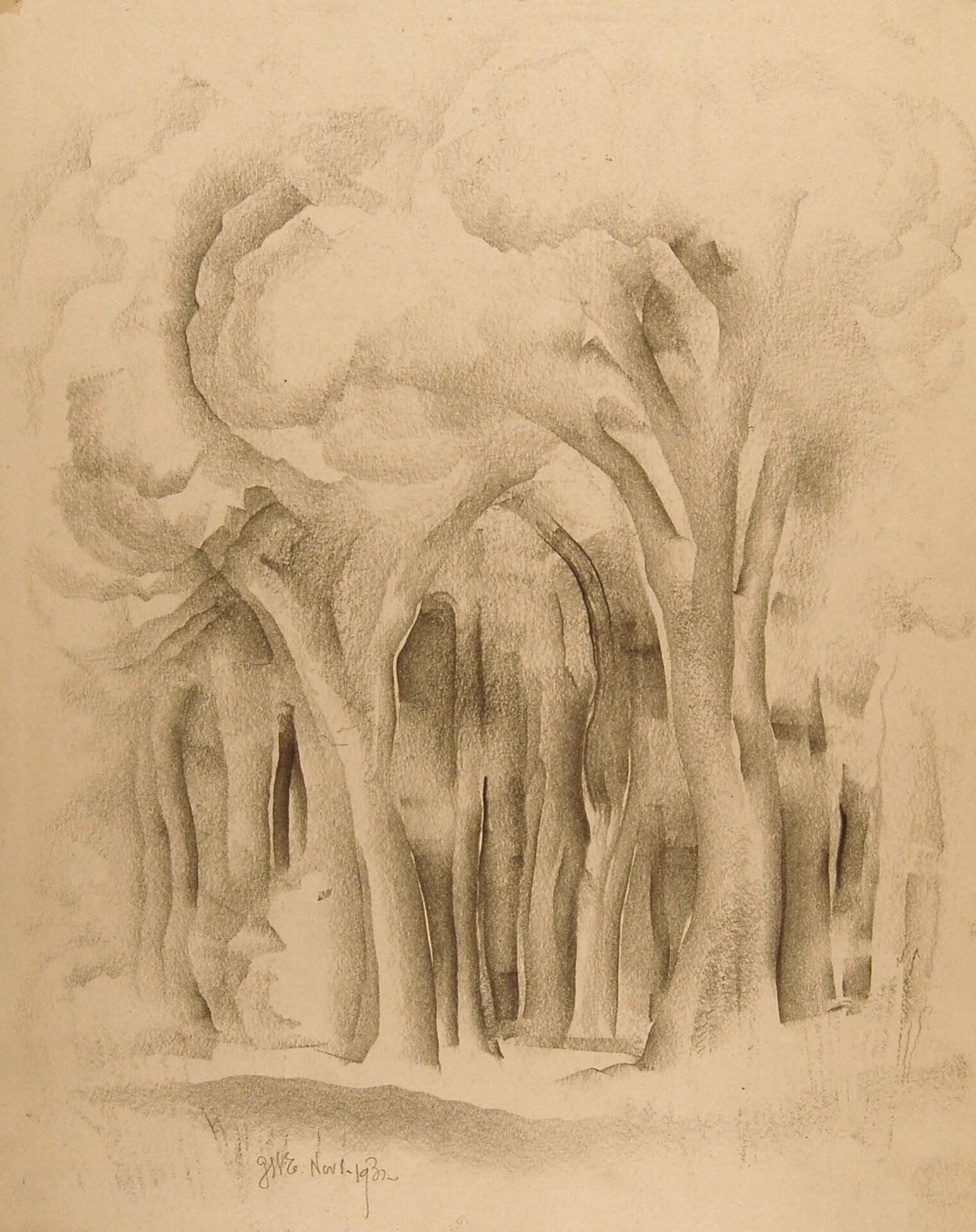 Forest