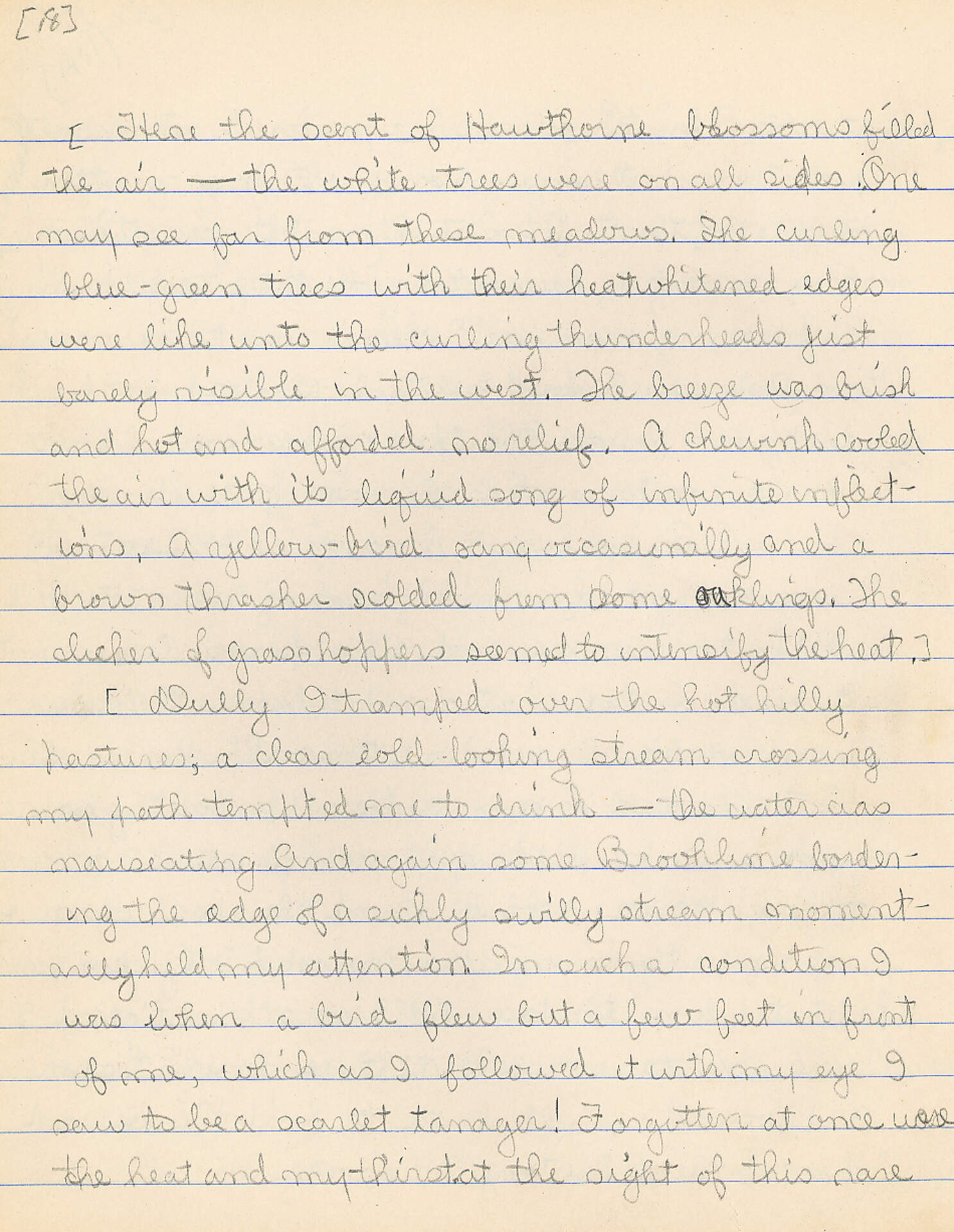 Untitled (Journal Pg 18)