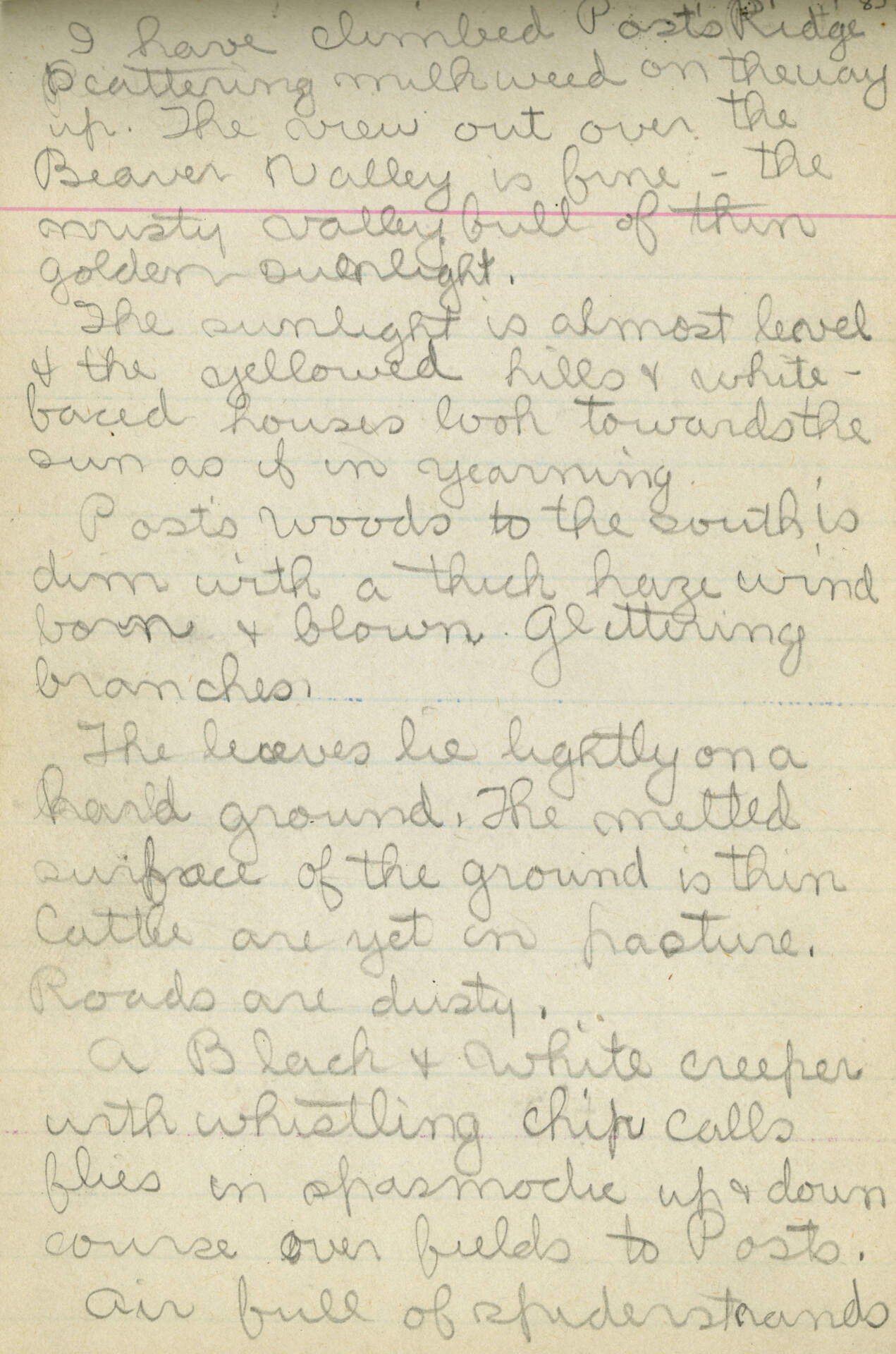 Untitled (Journal Page 85)