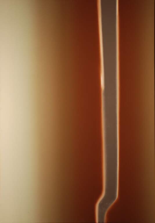 Contemporary Artist of Western New York, Permanent Collection including New Acquisitions