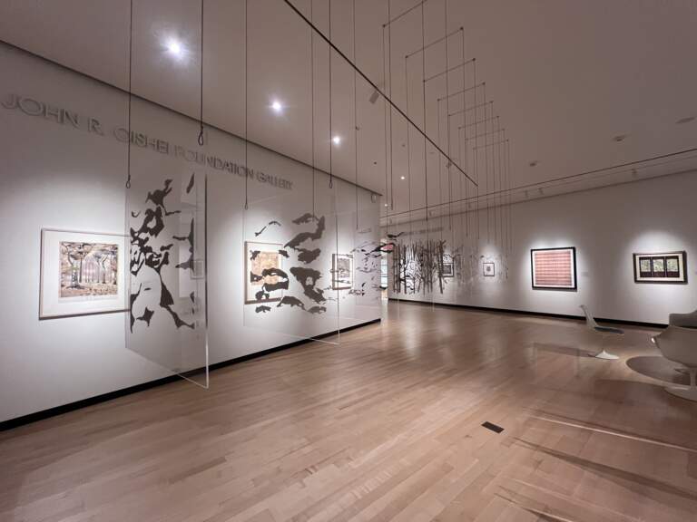 Patterned World: The Wallpaper Art of Charles E. Burchfield