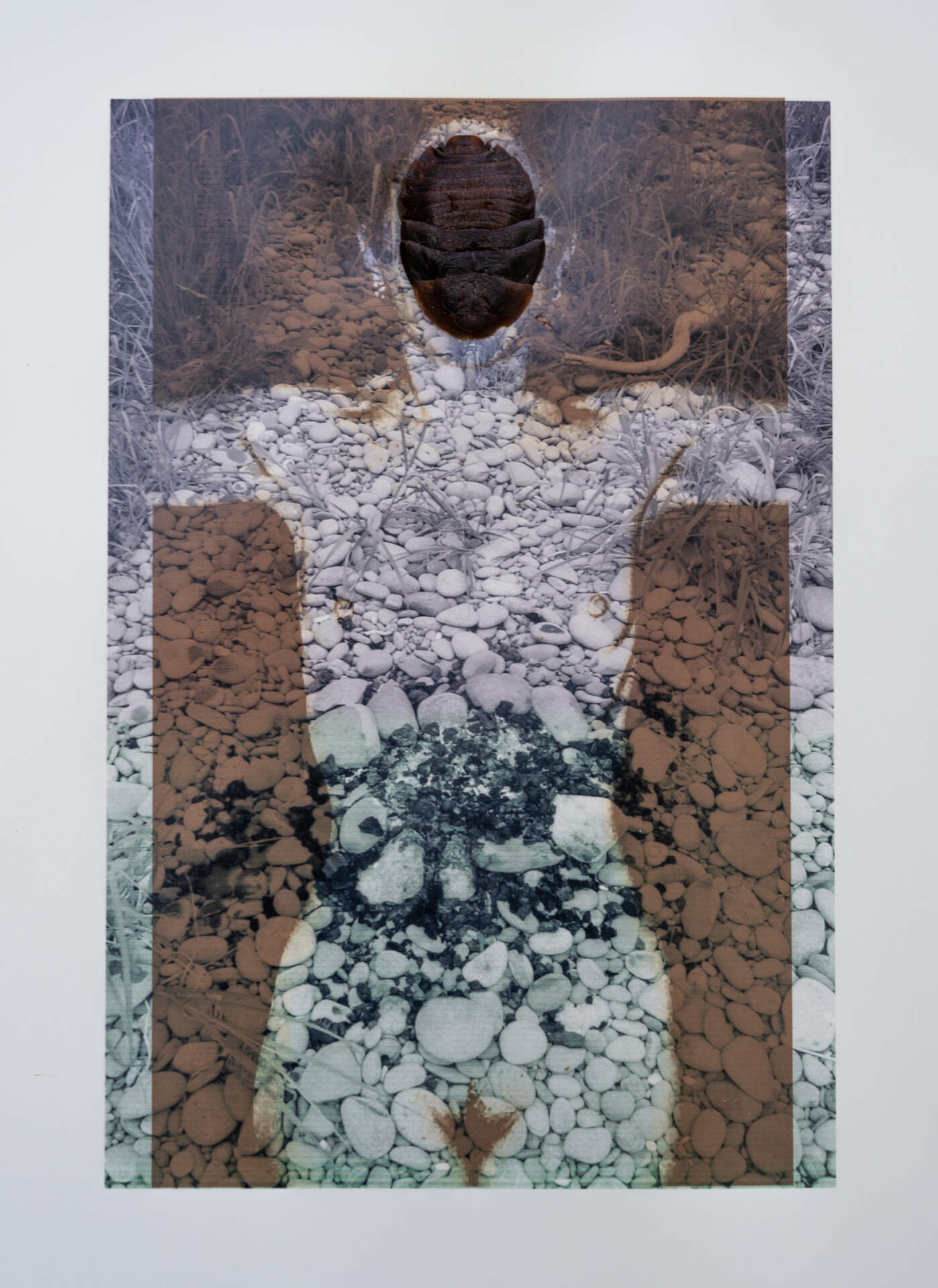 Untitled, Self-Portrait Series # 17