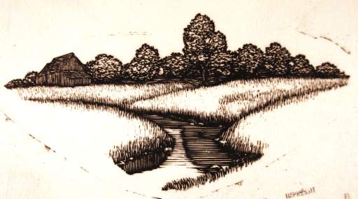 Brook, Field, Trees, Barn