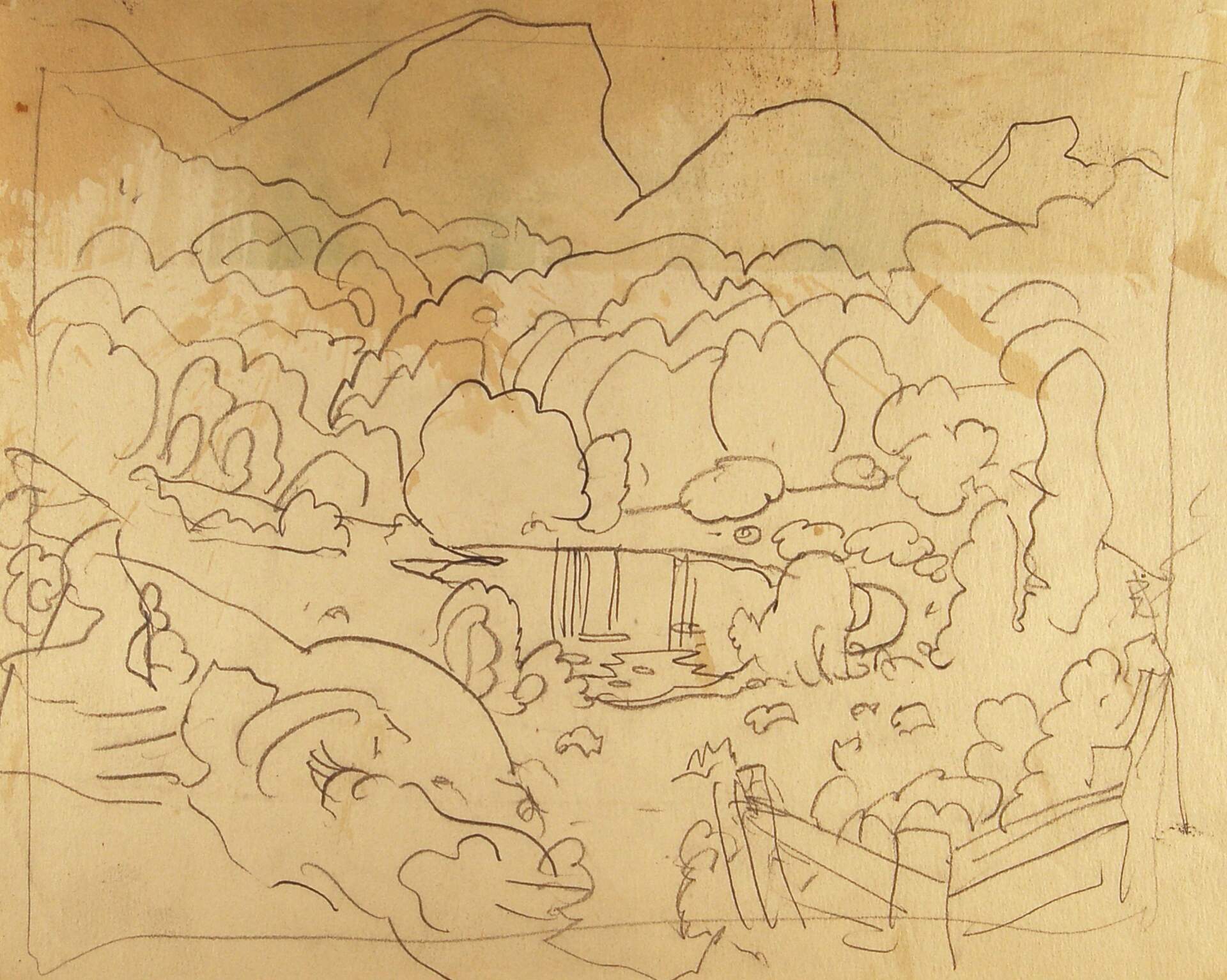 Landscape and Pool Sketch