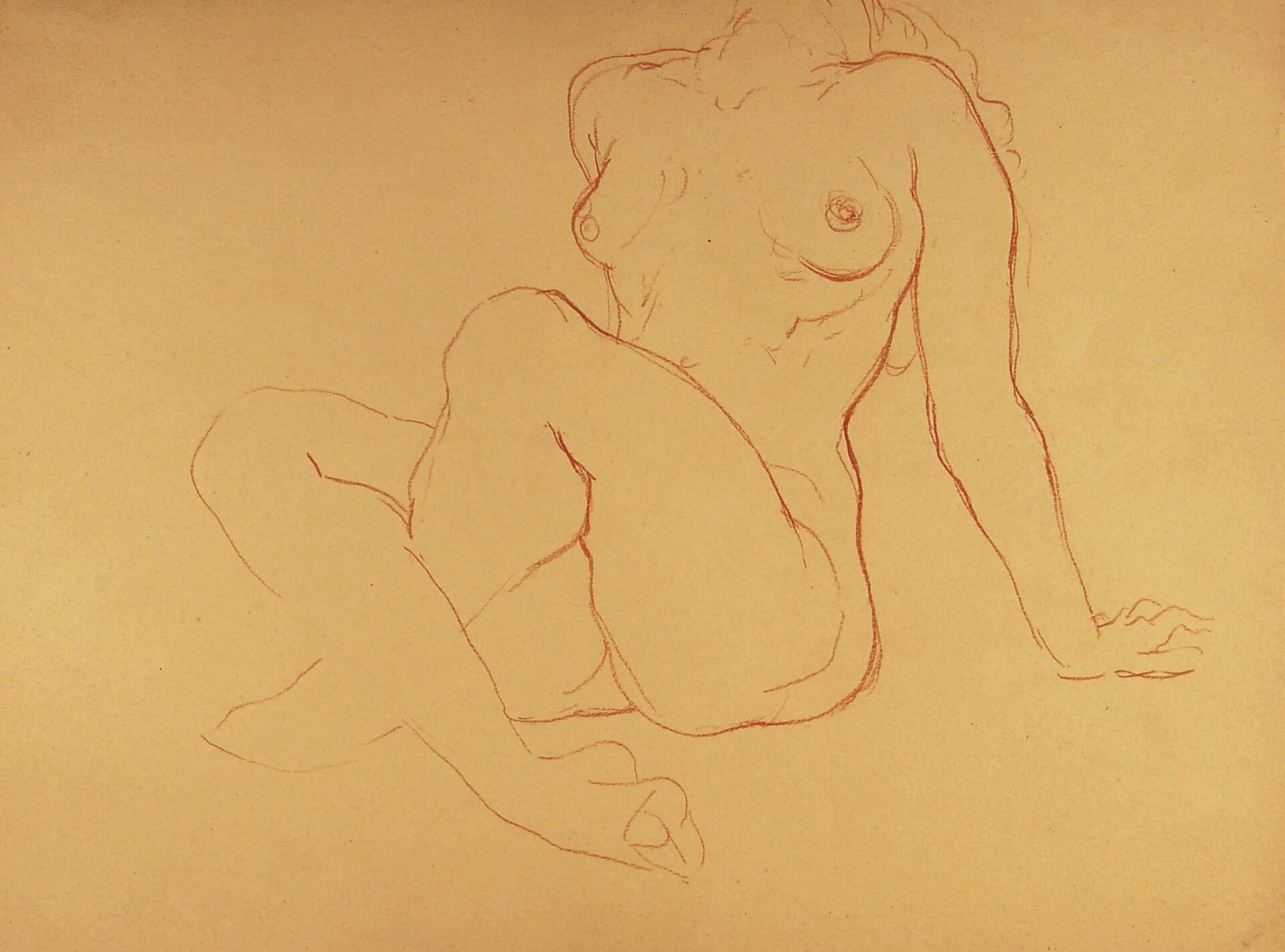 Seated Female Nude