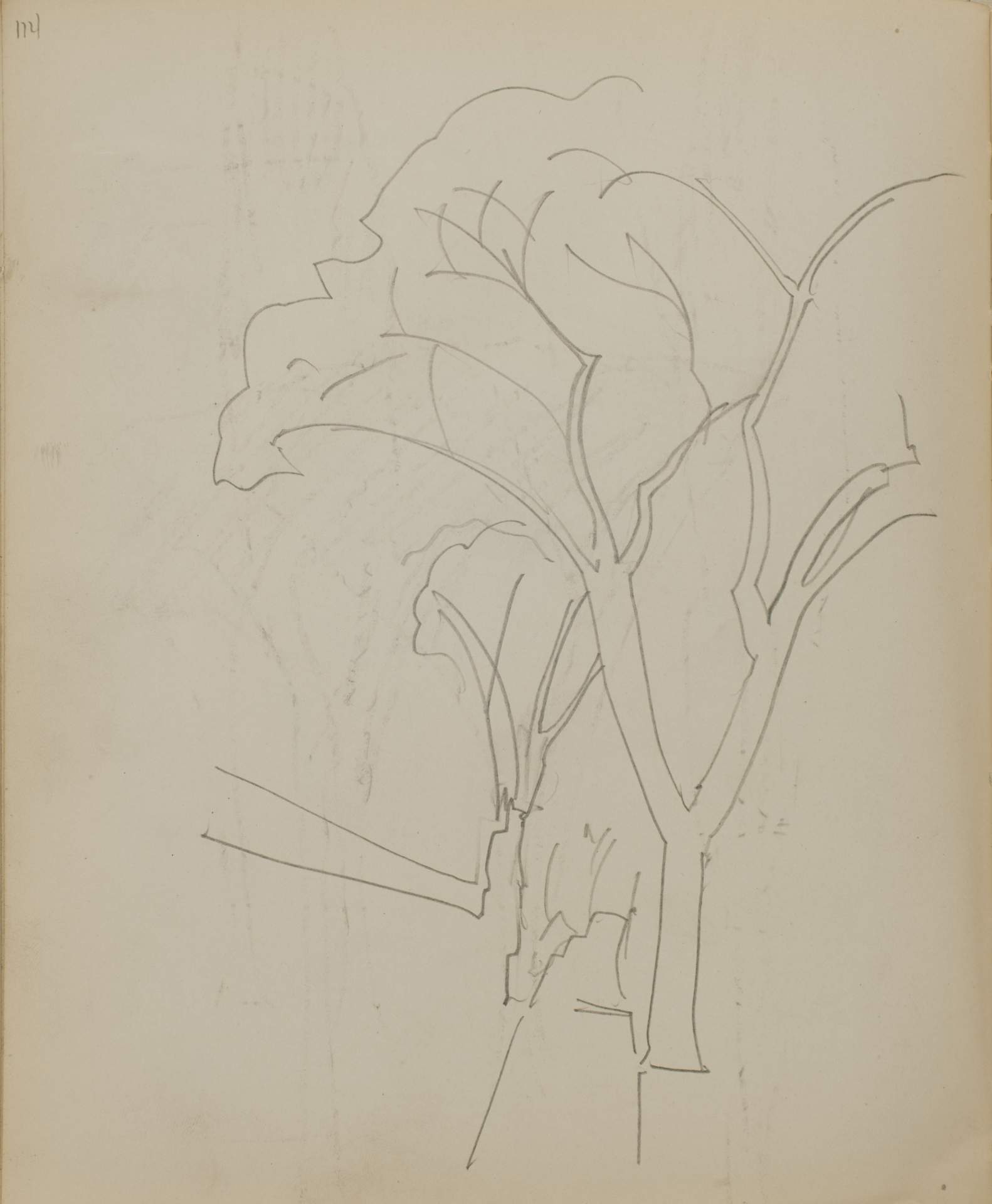Untitled (sketch of two trees and a path)