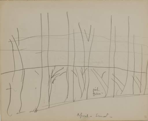 Untitled (sketch of tree trunks)