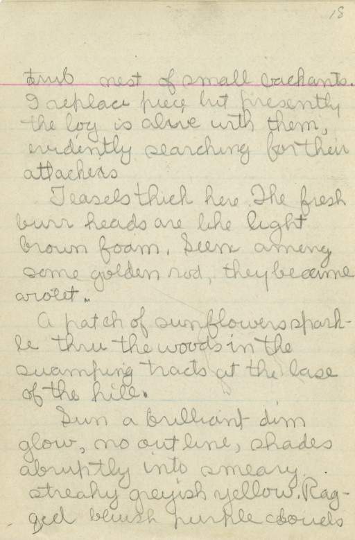 Untitled (Journal Page), Pg 18