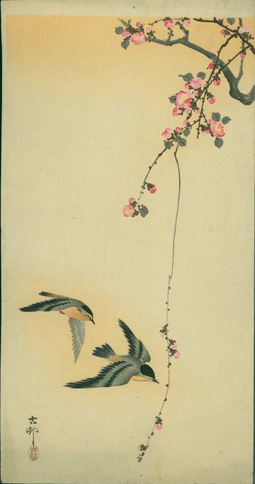 Wind Chaffs and Plum Blossoms