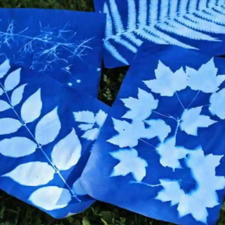Cyanotype Printing