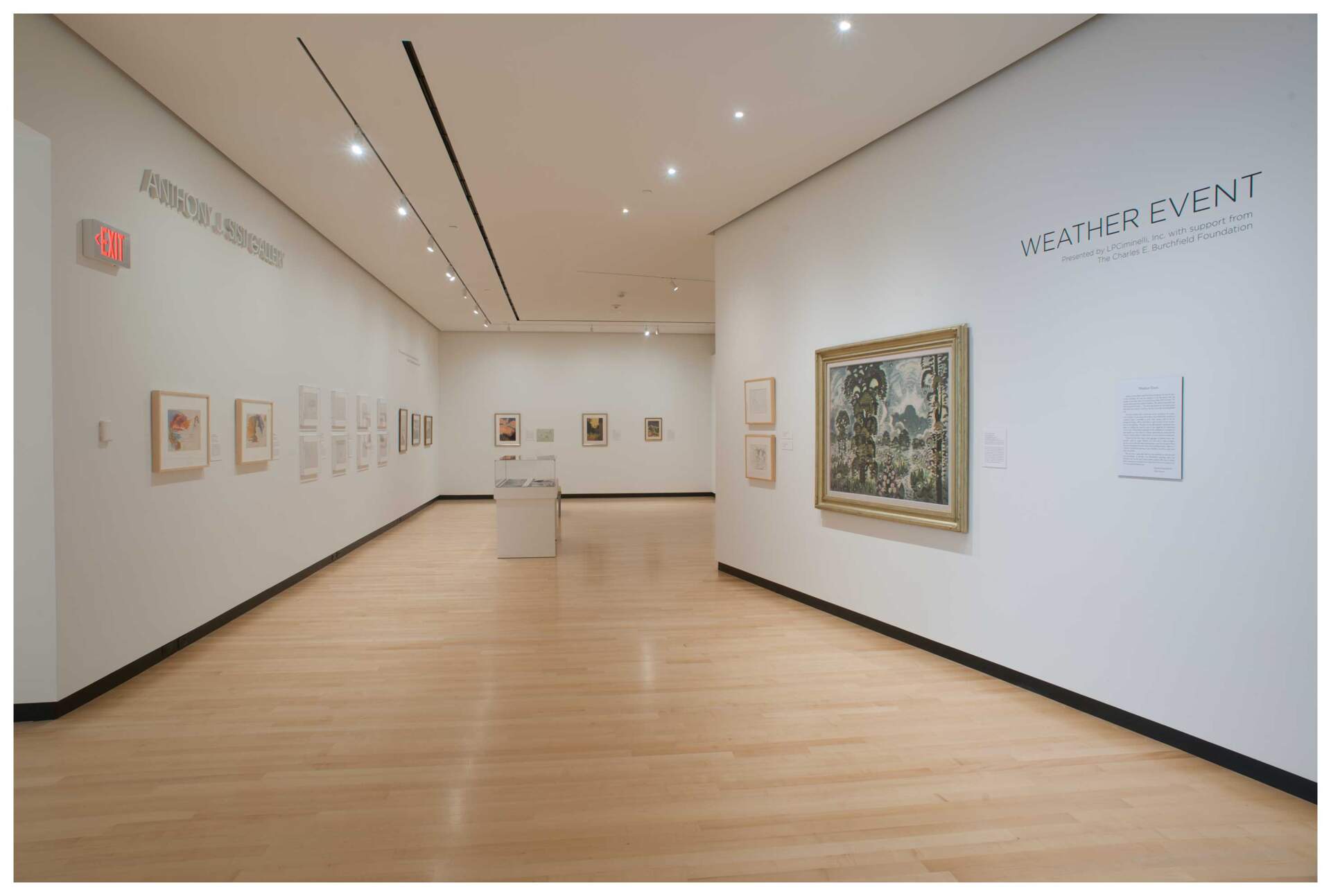 Anthony J Sisti Gallery