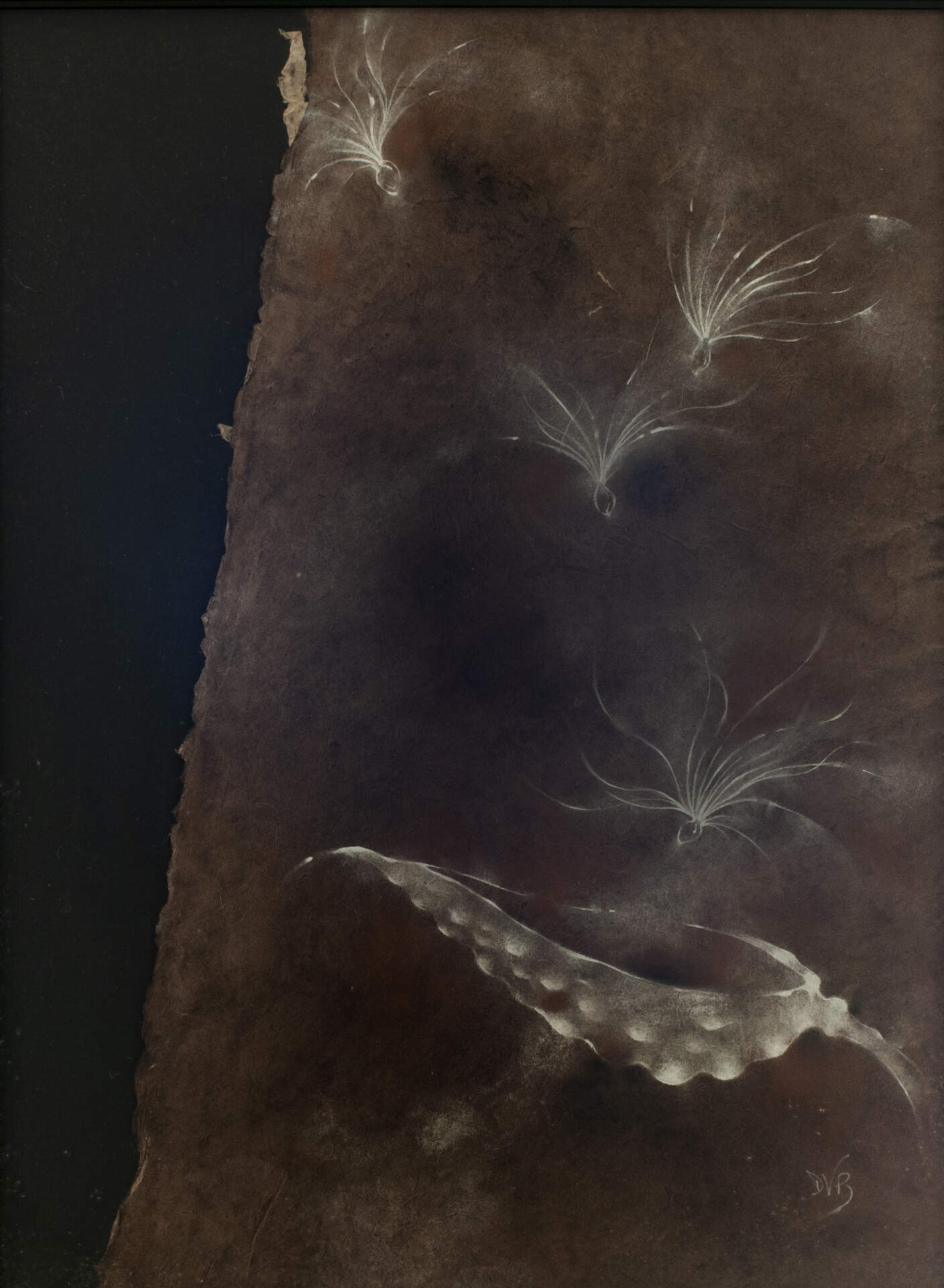 Passing Thoughts: Milkweed