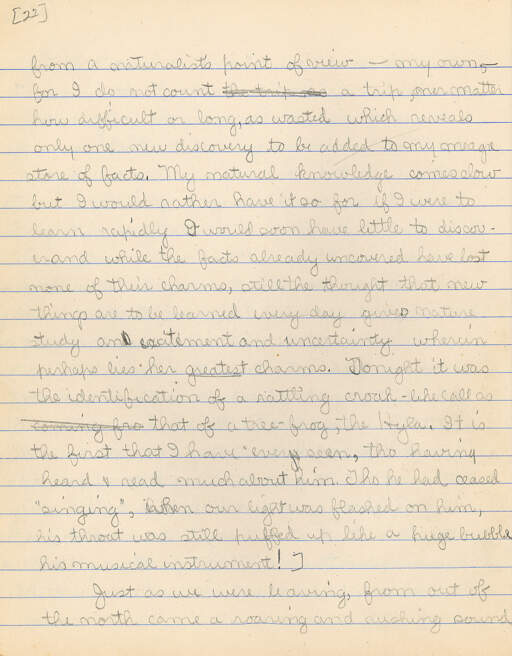 Untitled (Journal Pg 22)
