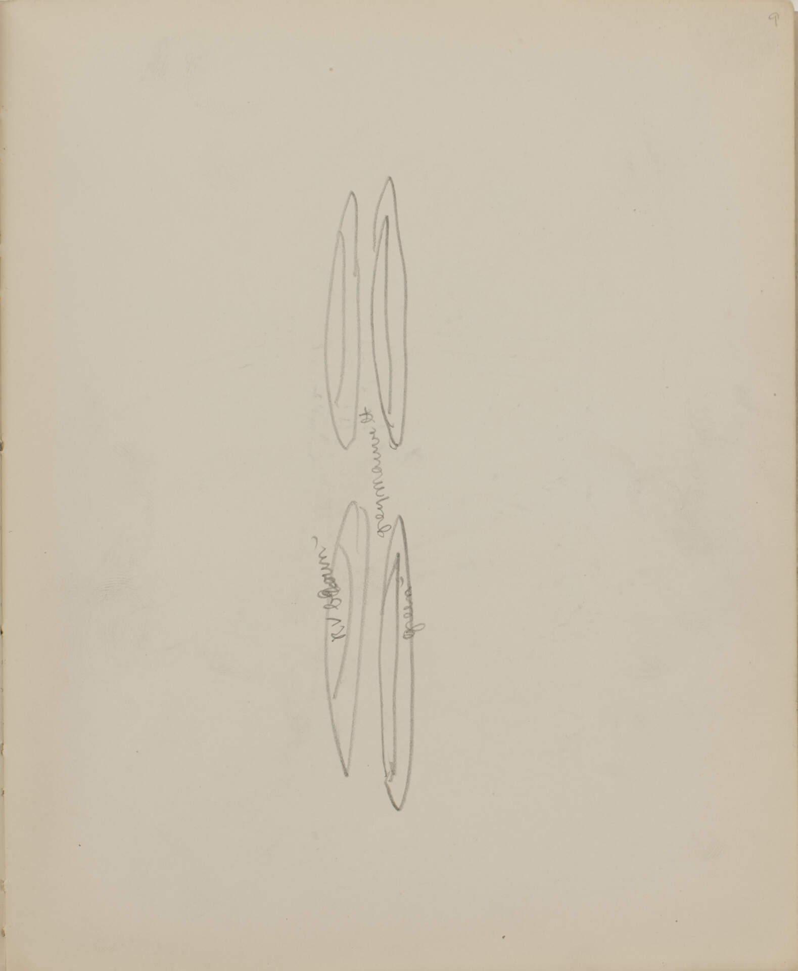 Untitled (oval shaped doodles)