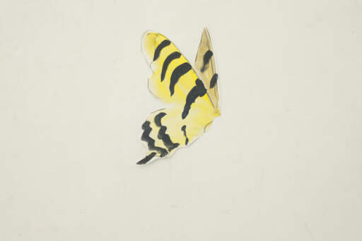 Eastern Tiger Swallowtail Butterfly, Study for White Wings of September