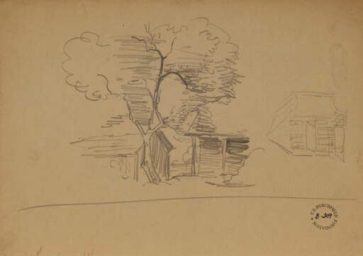 Tree and House