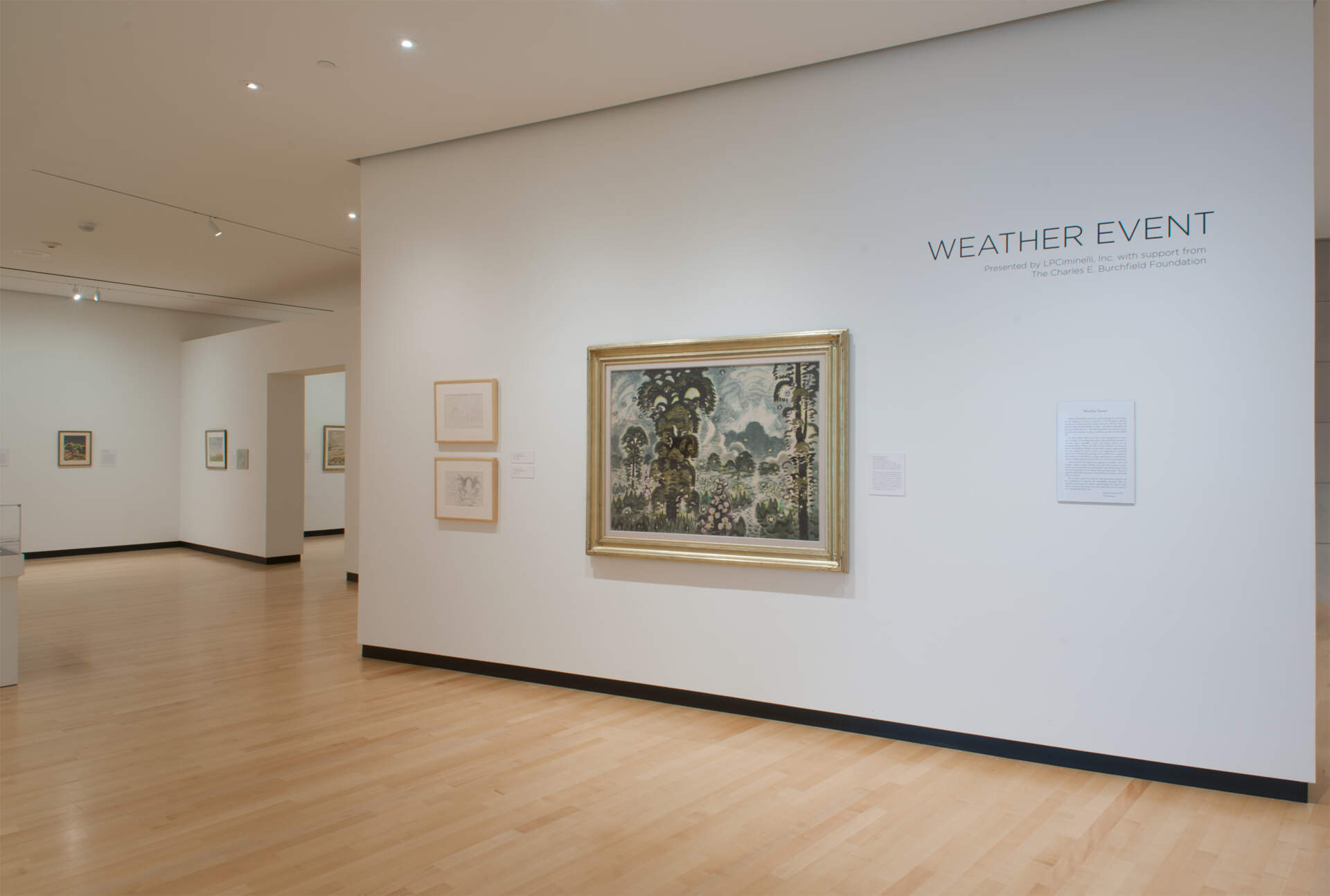Anthony J. Sisti Gallery