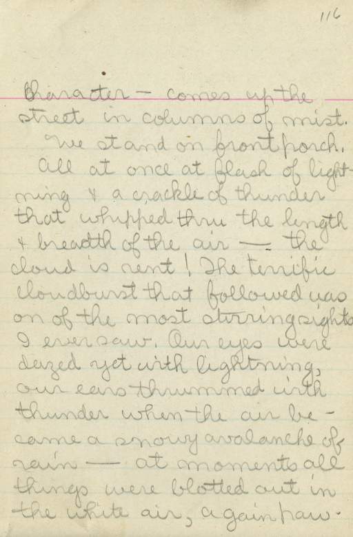 Untitled (Journal Page), Pg 116