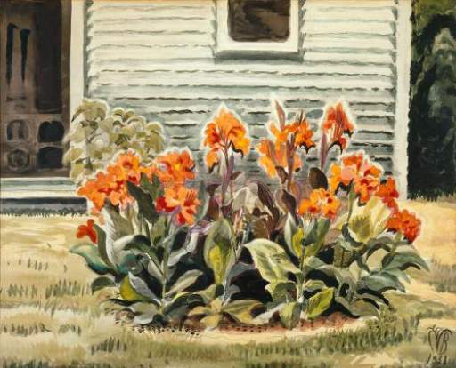Cannas and Studio (Canna Bed)