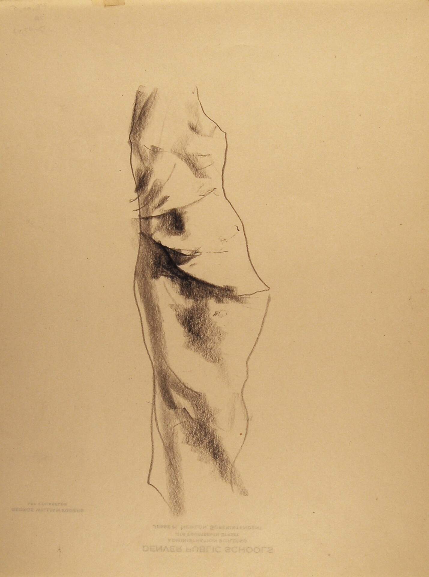 Sketch of Tree Trunk Section